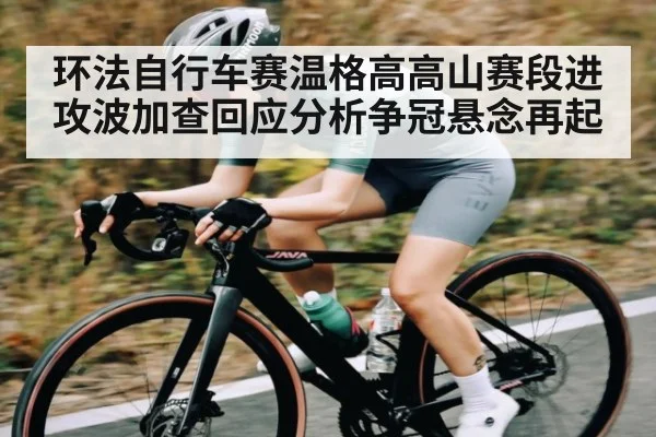 环法自行车赛温格高高山赛段进攻波加查回应分析争冠悬念再起