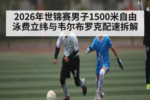 2026年世锦赛男子1500米自由泳费立纬与韦尔布罗克配速拆解